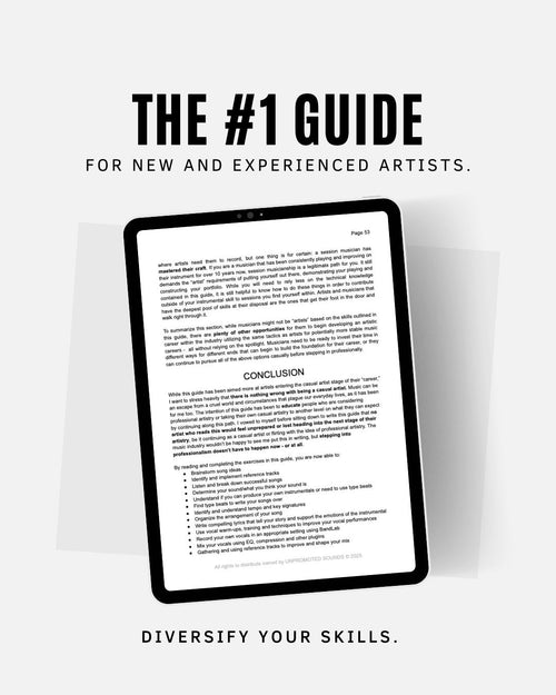 THE CURIOUS ARTIST - Digital Information System