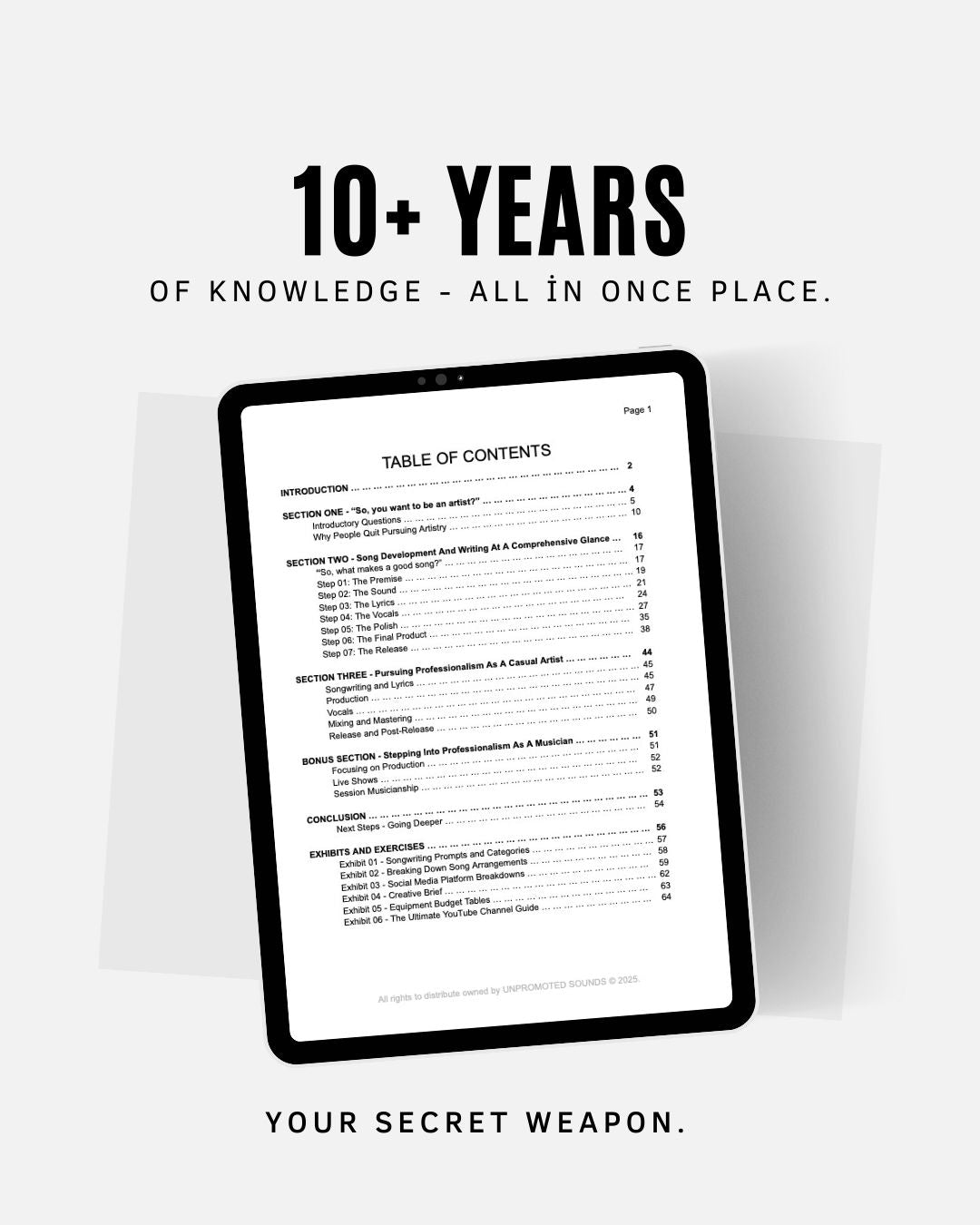 THE CURIOUS ARTIST - Digital Information System